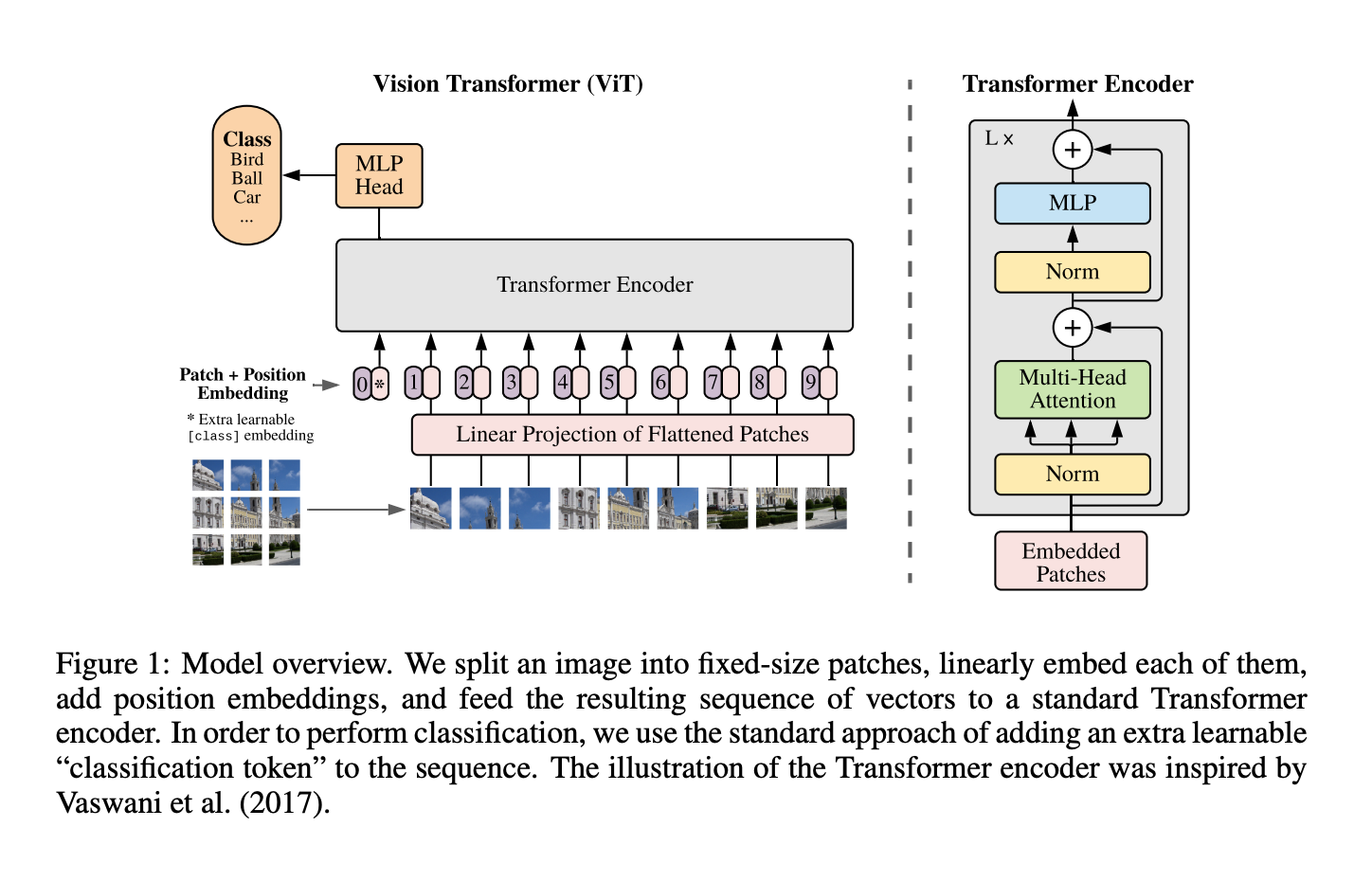 ViT: Vision Transformer for Early Dementia Detection